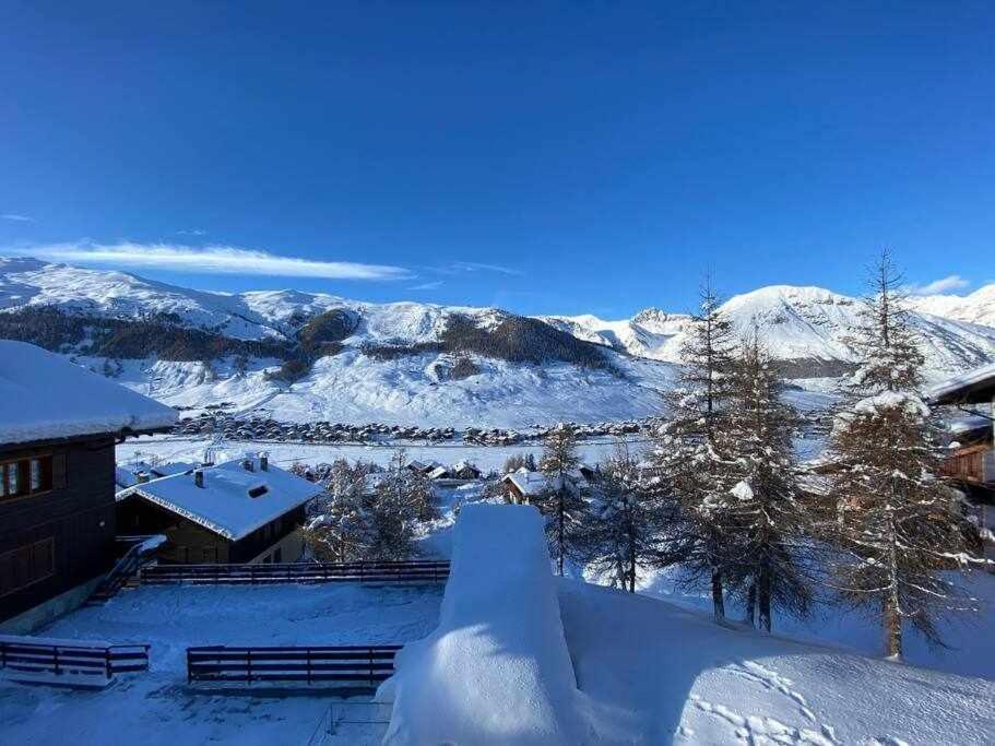 Appartement Gnomo